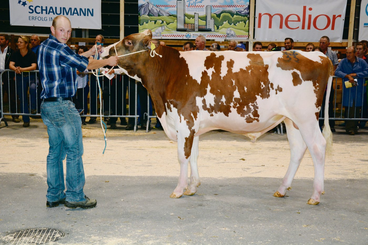 Auch der Mister-RH/HO-Titel ging zu Hans und Christian Stegmann. Mr I'Mac gefiel den Experten am besten.