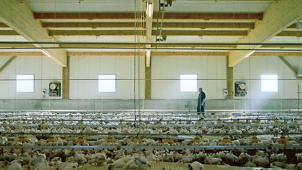 Beim Produzenten die Beim Produzenten die Realität abbilden und die Bauernfamilien erzählen lassen. So wird heute für Schweizer Fleisch geworben.