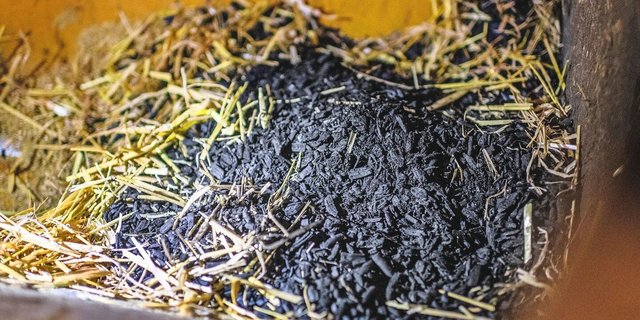 Nicht nur als Beigabe zum Futter, sondern auch im Einstreu bietet Pflanzenkohle gesundheitliche Vorteile: Ballen- und Klauenentzündungen kann so vorgebeugt werden. 