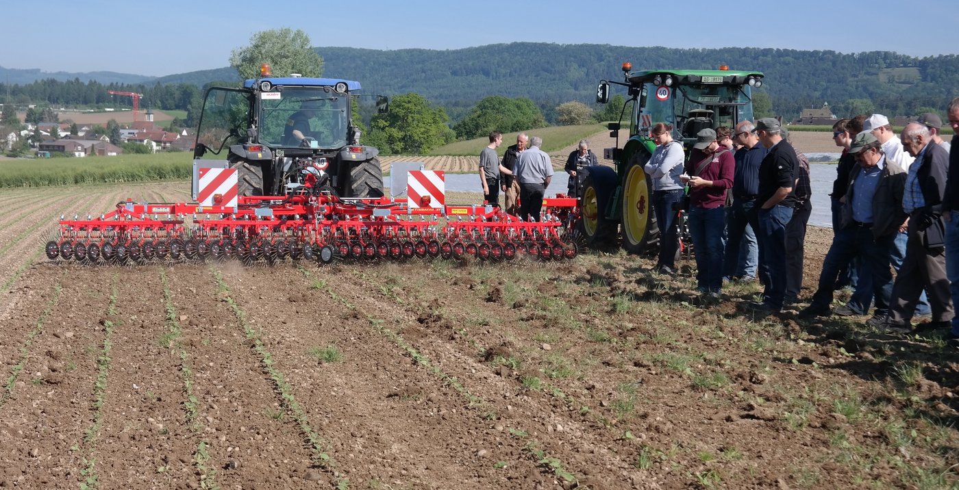 Der Rollstriegel von Aebi Suisse hat eine grosse Arbeitsbreite, das Unkraut sollte aber nicht zu hoch sein, wie hier teilweise im Bild.