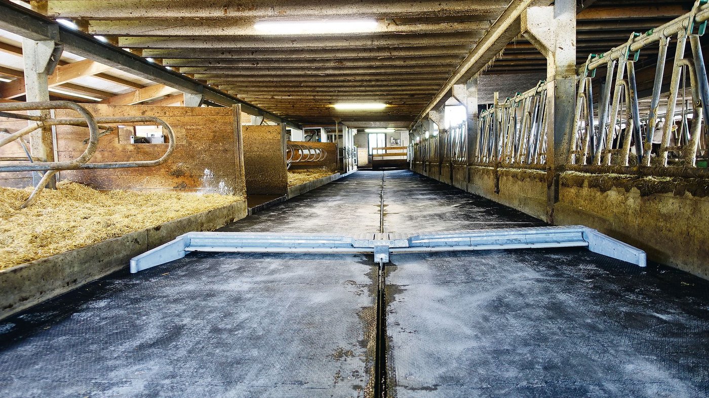 Die neuen Matten im Laufgang. Ersetzt wurde auch der Schieber, der bereits ziemlich abgeschliffen war. 