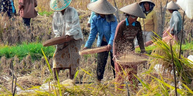 Dass das Freihandelsabkommen Indonesien Wirtschaftswachstum bringen könnte, sieht der SBLV als Vorteil. (Bild Dezalb/Pixabay)