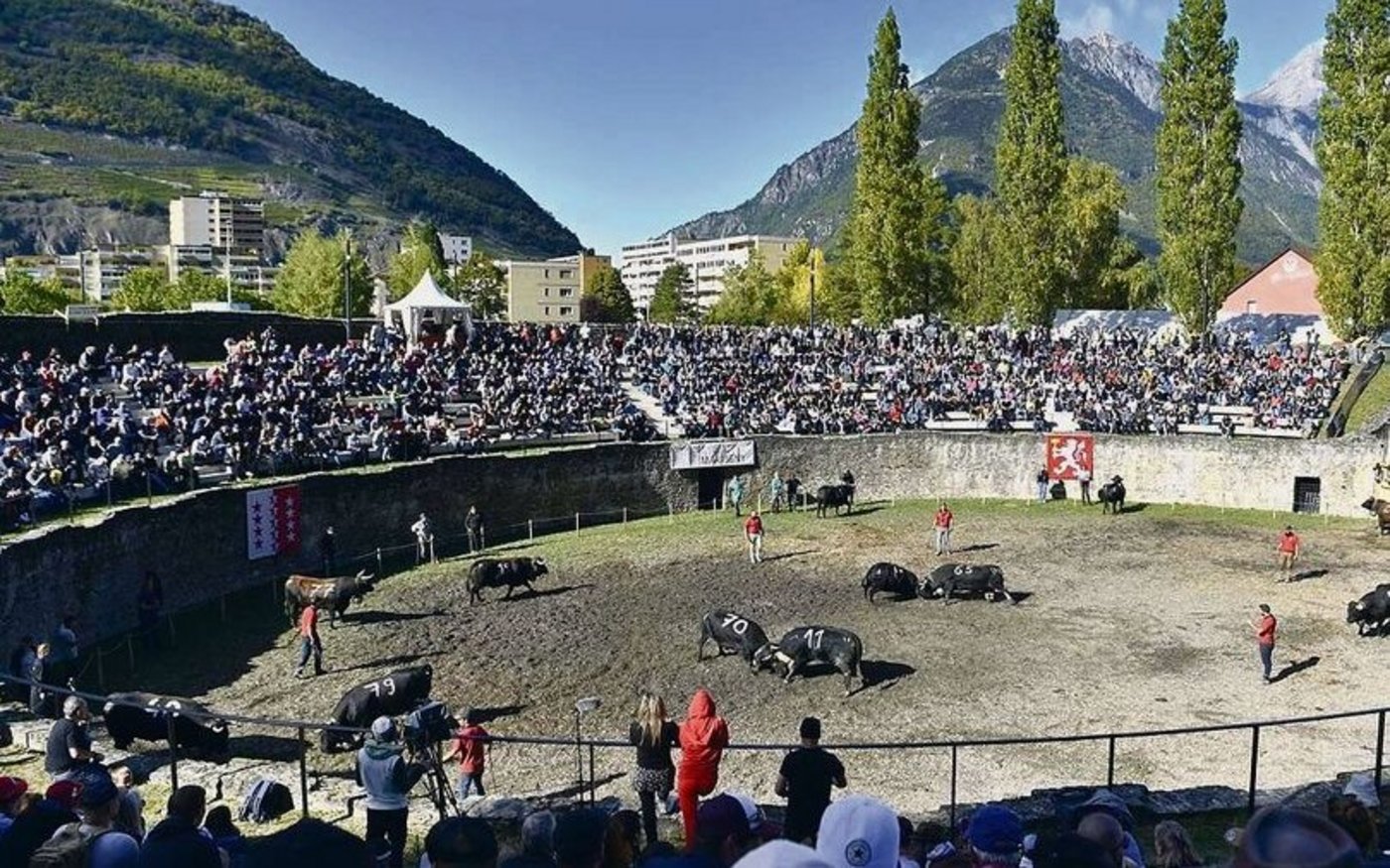 Während der Mittagspause kam es in der Arena in Martigny zu einem Protest.