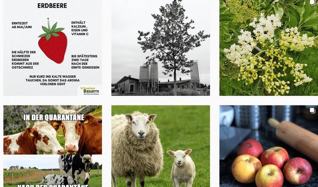 Wissen, Humor, Praktisches – auf dem Instagram-Kanal der Schweizer Bauern gibt es Einiges zu entdecken. (Bild Screenshot Instagram)