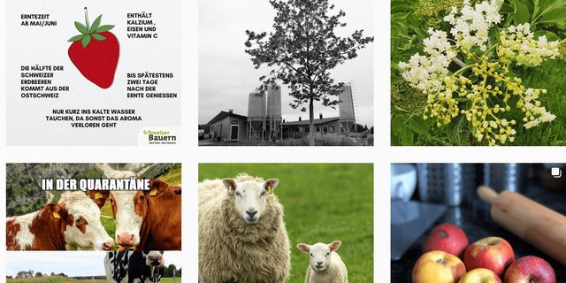 Wissen, Humor, Praktisches – auf dem Instagram-Kanal der Schweizer Bauern gibt es Einiges zu entdecken. (Bild Screenshot Instagram)
