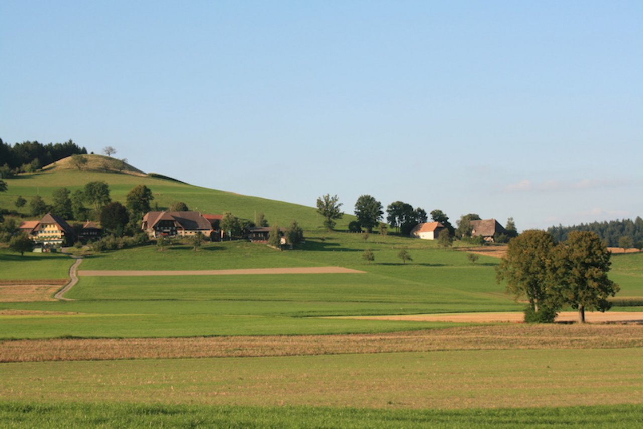 Was denken die Bauern aus der Region Bern über die AP 22+? (Symbolbild z.V.g.)