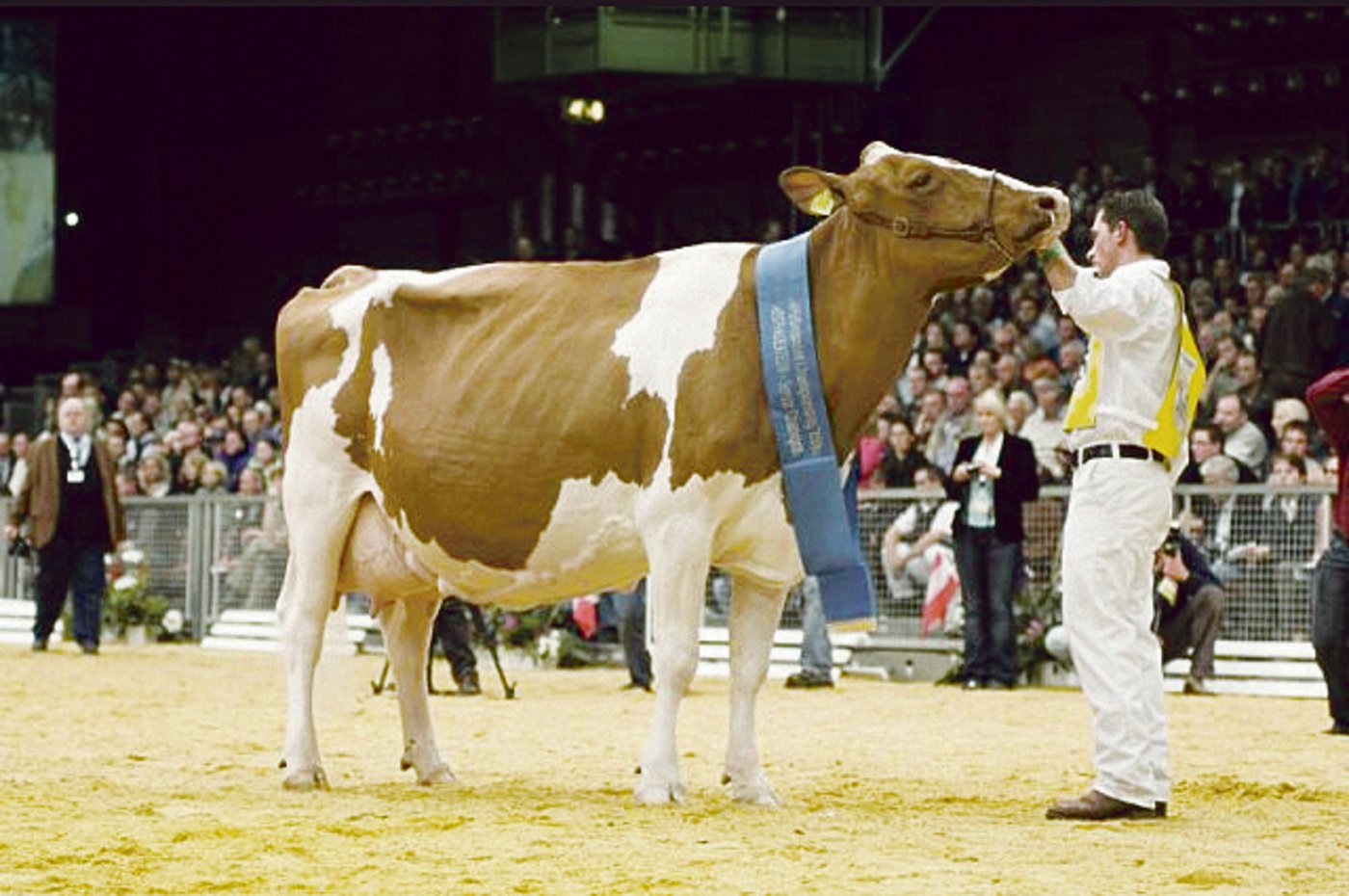 2006 in Oldenburg (D) war es die Schau von François Morand aus Vuadens FR. Hier mit seiner Champion Pickel Chicoutimi.(Bild zVg)