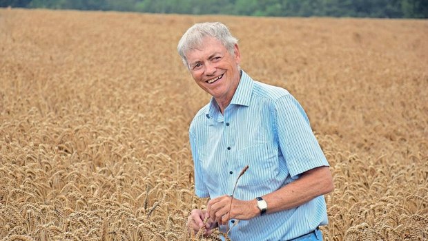 Heute beschäftigt si Heute beschäftigt sich Hans Winzeler mit der Entwicklung von Sortenmischungen für IP-Suisse. In der DDR war deren Anbau Standard.