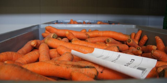 Nach dem Lockdown müssen die Rüebli in den Auslagen der Detailhändler wieder der Norm entsprechen. (Bild lid