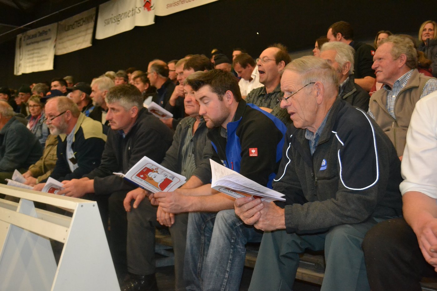 So eine Simmentalerschau interessiert viele, macht aber auch müde.