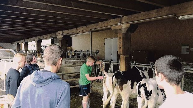 Lernen am lebenden T Lernen am lebenden Tier: Gelegentlich gibt es Kritik, die Tierhaltung werde in der Grundbildung zu stark gewichtet, Themen wie Klimawandel kämen hingegen zu kurz. An den Berufsbildungszentren ist man anderer Meinung.