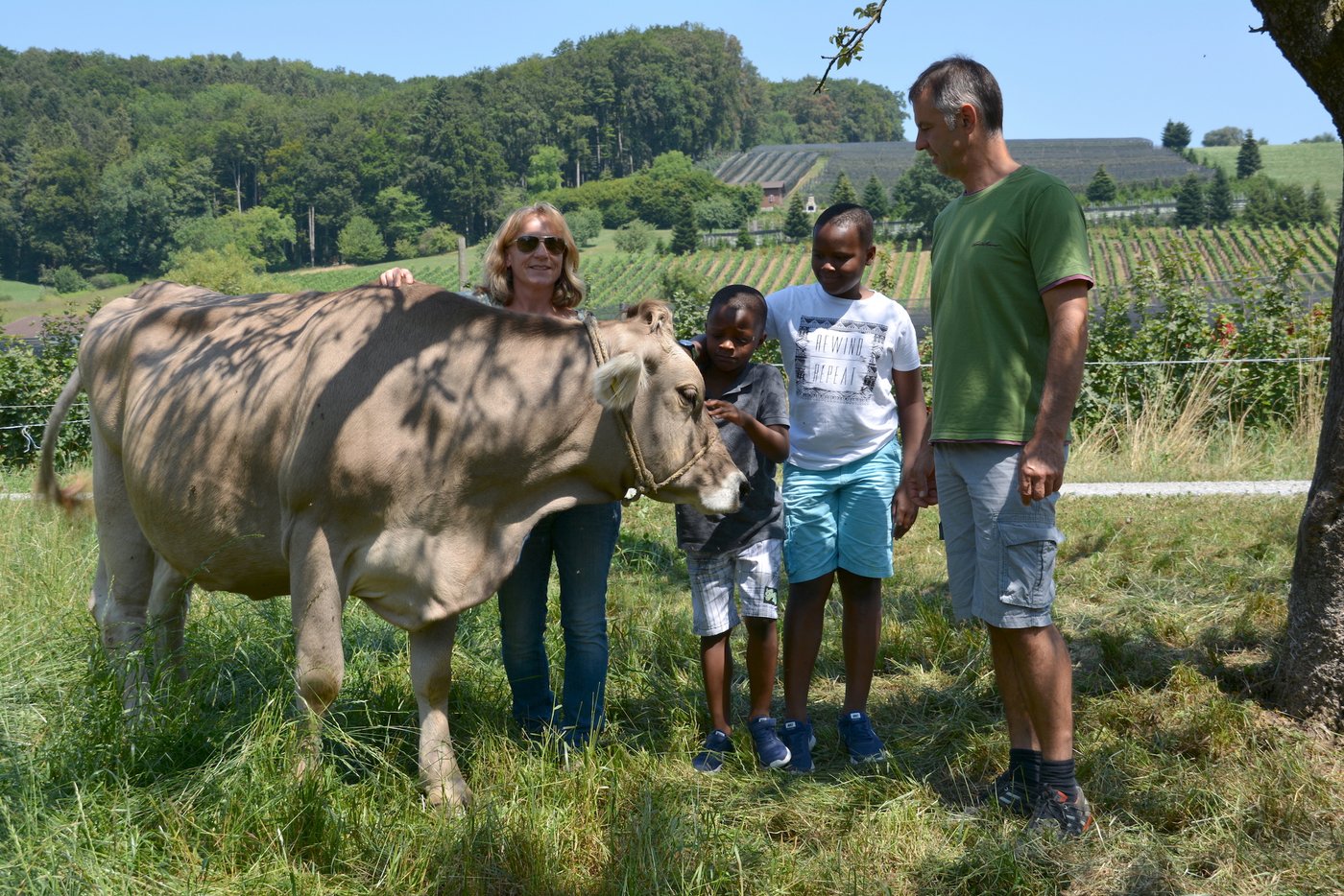 Berührungsängste abgebaut: Mohamed und Housseine kennen die Mutterkühe von Ruth Elmiger und Thomas Moser alle beim Namen.
