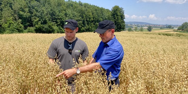 Die Fenaco möchte den Haferanbau fördern und lässt ihn ab 2022 im Vertrag anbauen. Im Bild: Fortunat Schmid (r.) von Fenaco Getreide, Ölsaaten, Futtermittel mit einem Bauern im Haferfeld. (Bild Fenaco)