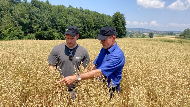 Die Fenaco möchte den Haferanbau fördern und lässt ihn ab 2022 im Vertrag anbauen. Im Bild: Fortunat Schmid (r.) von Fenaco Getreide, Ölsaaten, Futtermittel mit einem Bauern im Haferfeld. (Bild Fenaco)