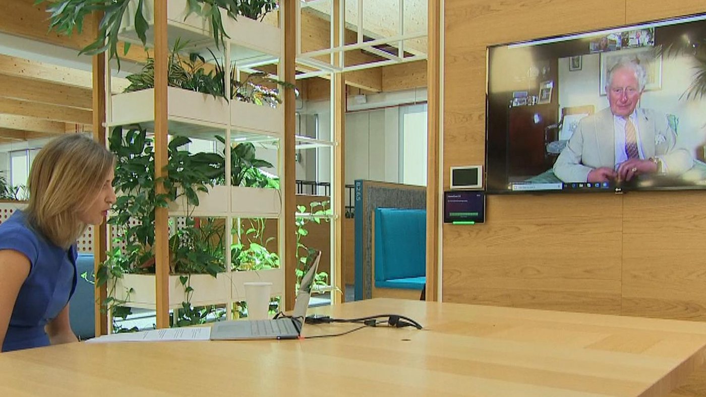 Prinz Charles spricht mit Sky News über das Coronavirus und die Umwelt. (Bild Sky News)