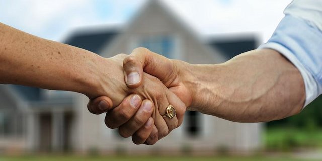 Die Regierung will die Stellung der in der Landwirtschaft mitarbeitenden Partnerinnen und Partnern rechtlich verbessern. (Bild pixabay)