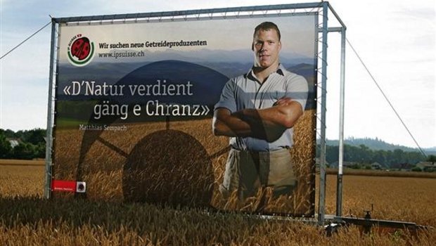 Ab sofort produzieren IP-Suisse-Landwirte herbizidfreies Getreide für Fredy Hiestand. (Bild Archiv)
