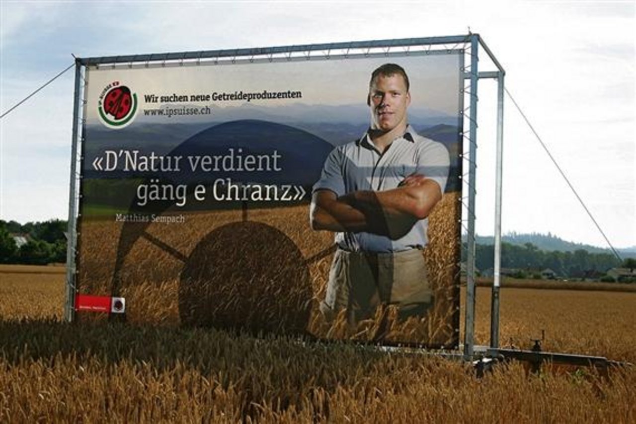 Ab sofort produzieren IP-Suisse-Landwirte herbizidfreies Getreide für Fredy Hiestand. (Bild Archiv)