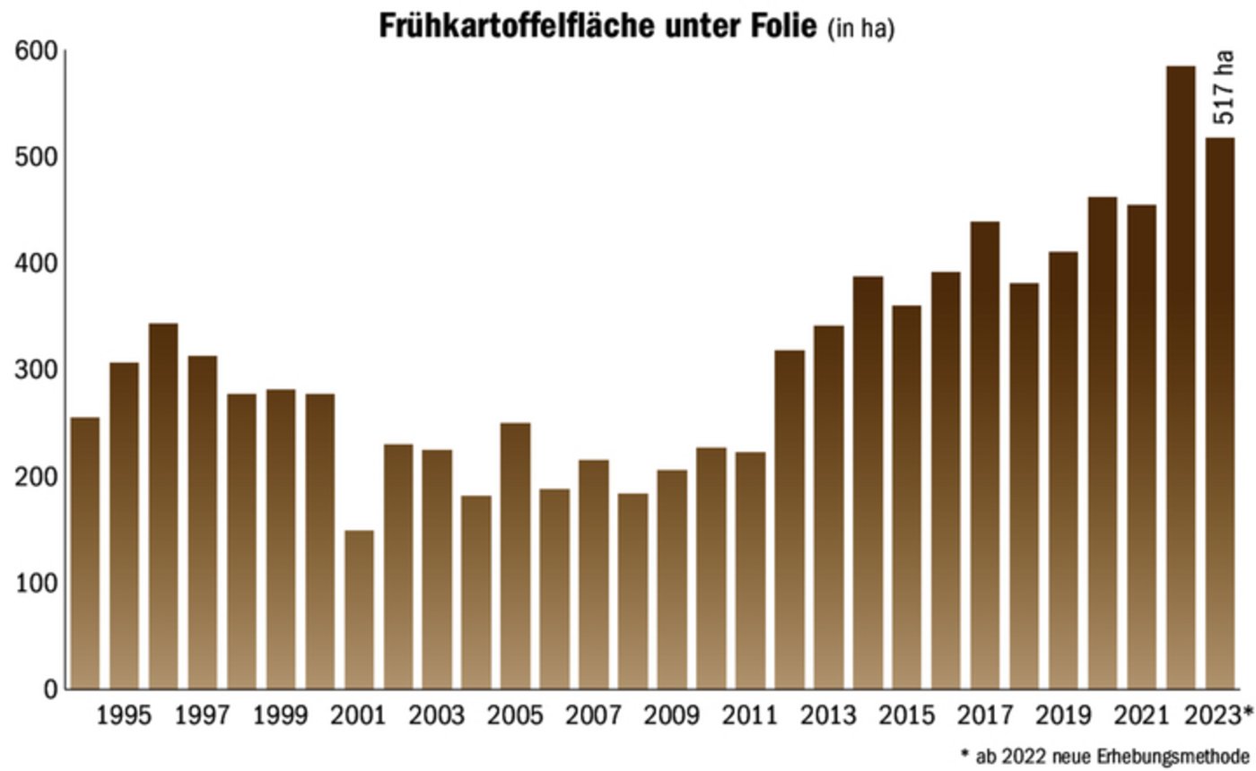 Um früh neuerntige Kartoffeln anbieten zu können, wurde der Anbau unter Folie in den vergangenen Jahren erhöht. In diesem Jahr machte das Wetter allerdings nicht mit.