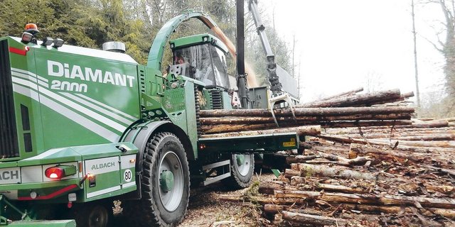Hackschnitzelproduktion im Wald. Derzeit hat sich der Markt für Energieholz saisonal bedingt beruhigt. Die Nachfrage wird aber hoch bleiben.