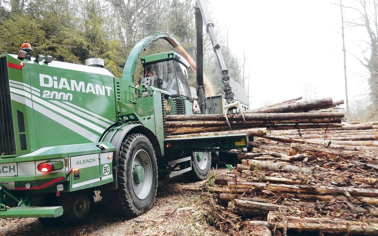 Hackschnitzelproduktion im Wald. Derzeit hat sich der Markt für Energieholz saisonal bedingt beruhigt. Die Nachfrage wird aber hoch bleiben.