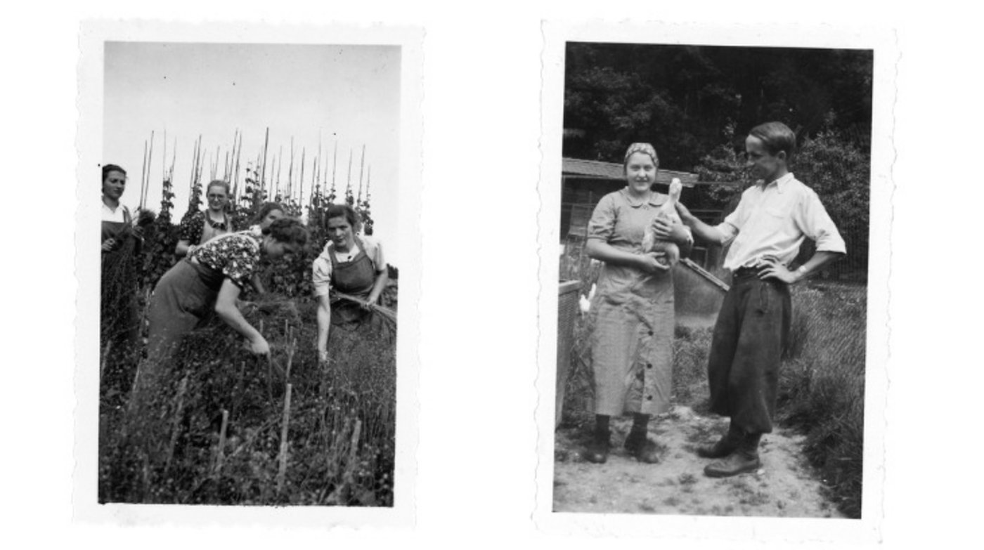 Erste Berufsprüfung für Bäuerinnen 1944 im Kanton Bern. Links: Kandidatinnen unter Expertinnenaufsicht bei der Feldarbeit. Rechts: Kandidatin und Experte im Fach Kleintierhaltung. (Bilder Familie Eberhart)