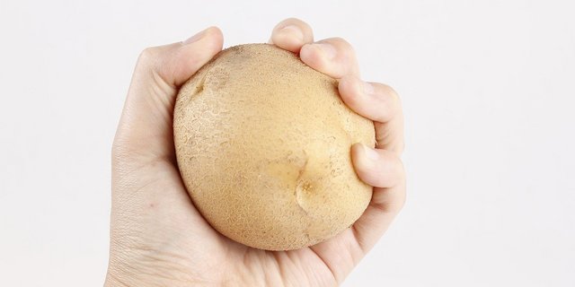 Da sich Merkmale wue die Krankheitsanfälligkeit verändern, wird die Sortenliste jeweils aktualisiert, damit Informationen zu den empfehlenswerten Sorten zur Verfügung stehen. (Bild kar0329/Pixabay)