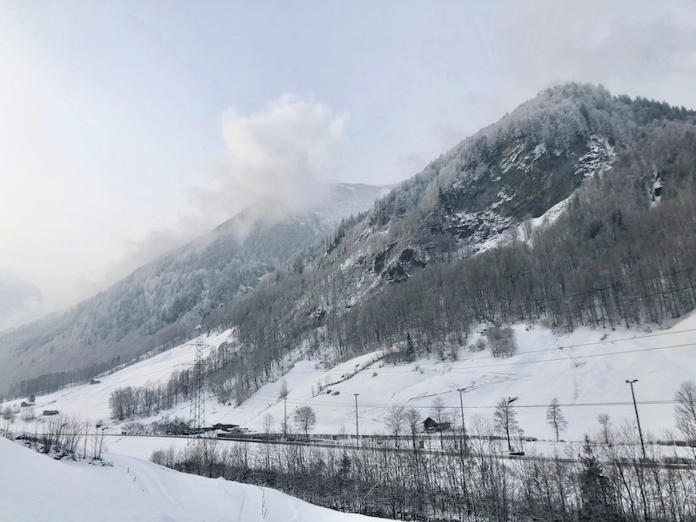 Die Aussicht von Martis Haus gleicht dem Bild auf dem Cover seines neuen Romans an.