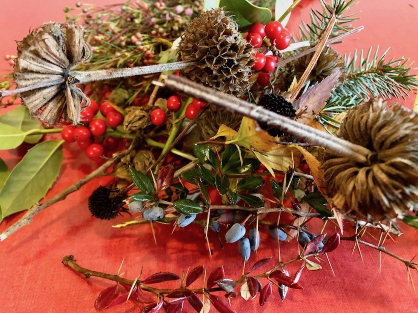 Aus Garten und Natur: Zweige und Blütenstände.