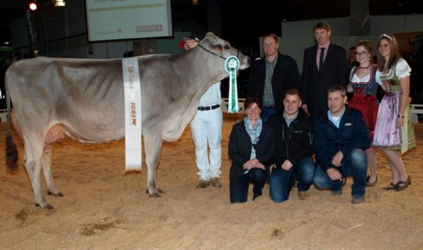 Jongleur Elisa dominiert an der IGBS in St. Gallen. Sie wird Grand Champion und Schöneutersiegerin alt der Ausstellung. Bester Züchter und Aussteller wird Martin Zinsli, Thalkirch.