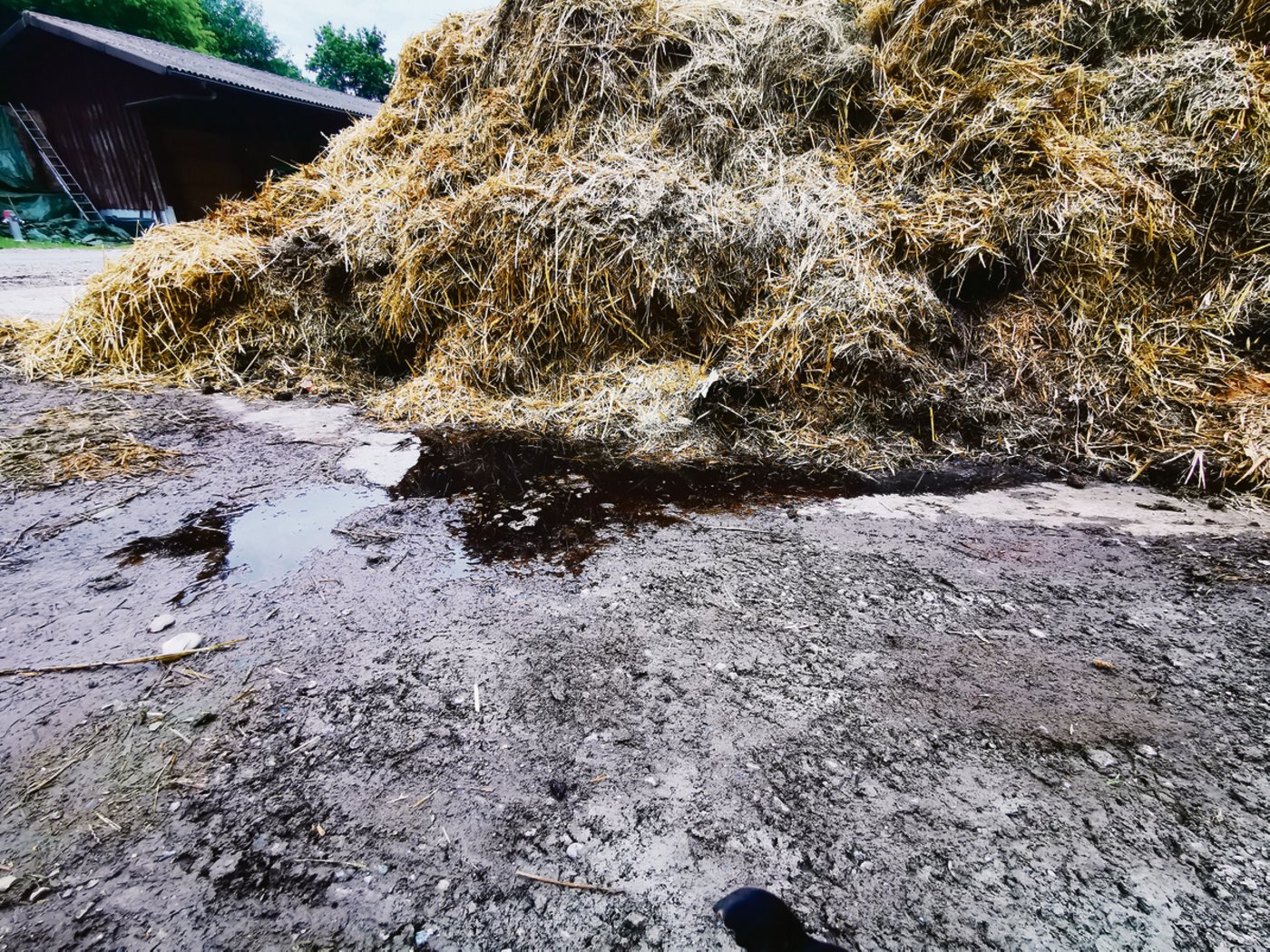 Kontrollen im Bereich des Gewässerschutzes haben nicht nur Ställe im Visier. Auch die Mistplätze werden begutachtet. Hier dürfte ab 2022 auch auf Berner Höfen beanstandet werden. 