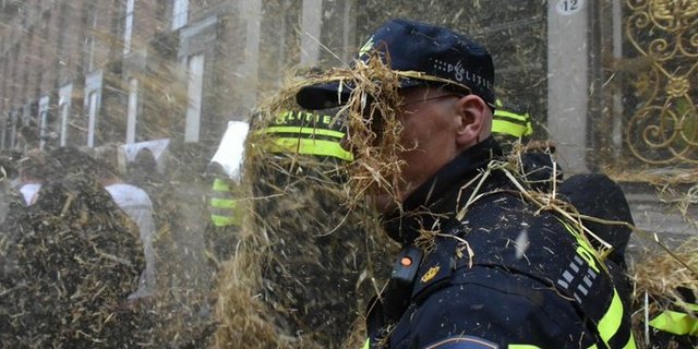 Demonstrierende Bauern setzen in Holland im Oktober eigene «Waffen» ein und bewarfen etwa Polizisten mit Stroh. (Bild Twitter/ Marc Wurfbain)