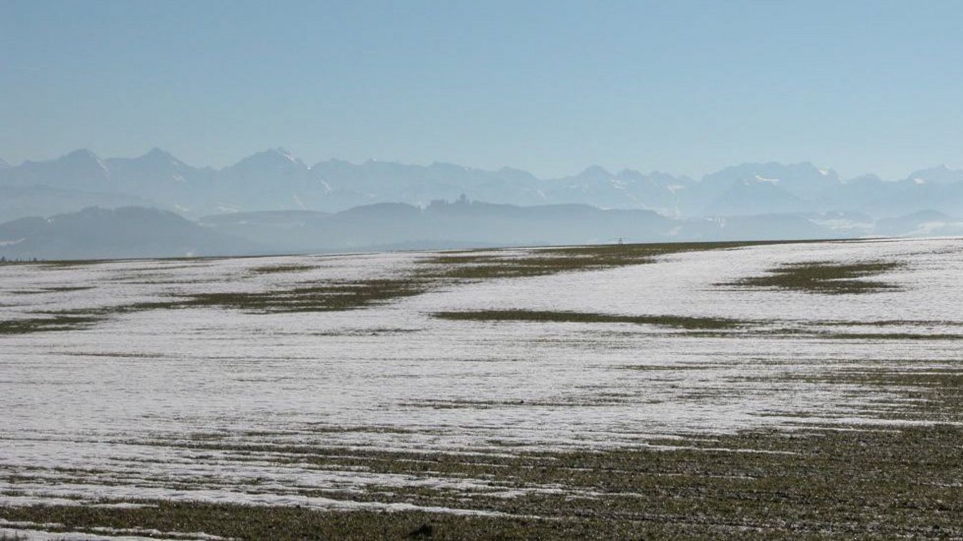 In der Ostschweiz war der heurige Winter der mildeste seit über 100 Jahren. (Bild: BauZ)