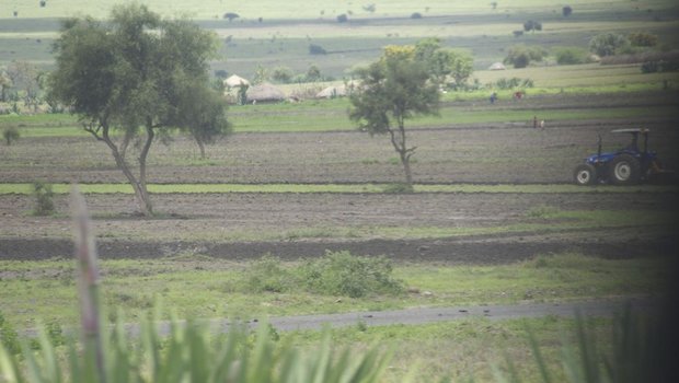 Vor besonderen Herausforderungen wegen dem Klimawandel steht die Landwirtschaft in Regionen südlich der Sahara. Hier Äcker in Tansania. (Bild: jw)