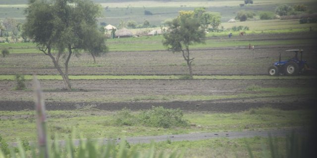 Vor besonderen Herausforderungen wegen dem Klimawandel steht die Landwirtschaft in Regionen südlich der Sahara. Hier Äcker in Tansania. (Bild: jw)