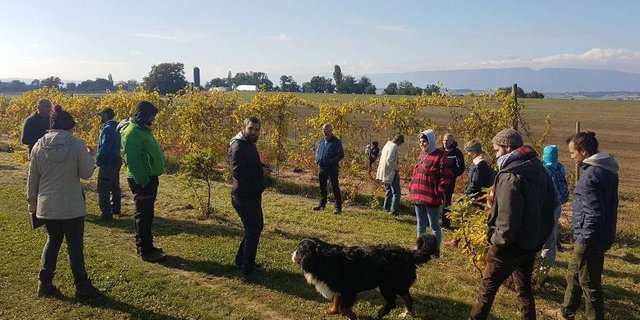 Im Rahmen des Projekts wurden auch Kurse durchgeführt. Hier ein Bild einer Veranstaltung zum Thema Agroforst. (Bild Bio Freiburg)