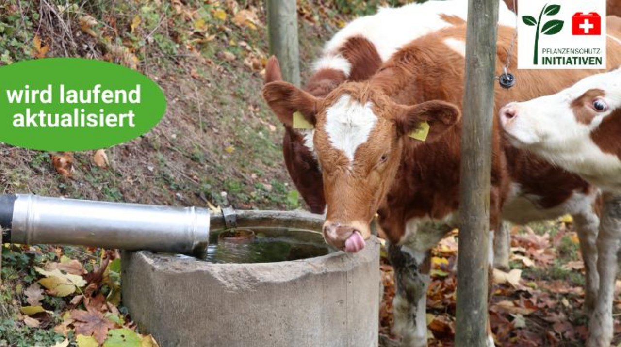 Die BauernZeitung informiert über die Trinkwasser-Initiative (Bild: BauernZeitung/Ruth Aerni)