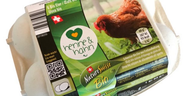 Die Eier aus dem Bruderküken-Programm «Henne & Hahn» werden ab Anfang Februar bei Aldi Suisse für 4.49 Franken verkauft. (Bild pd)