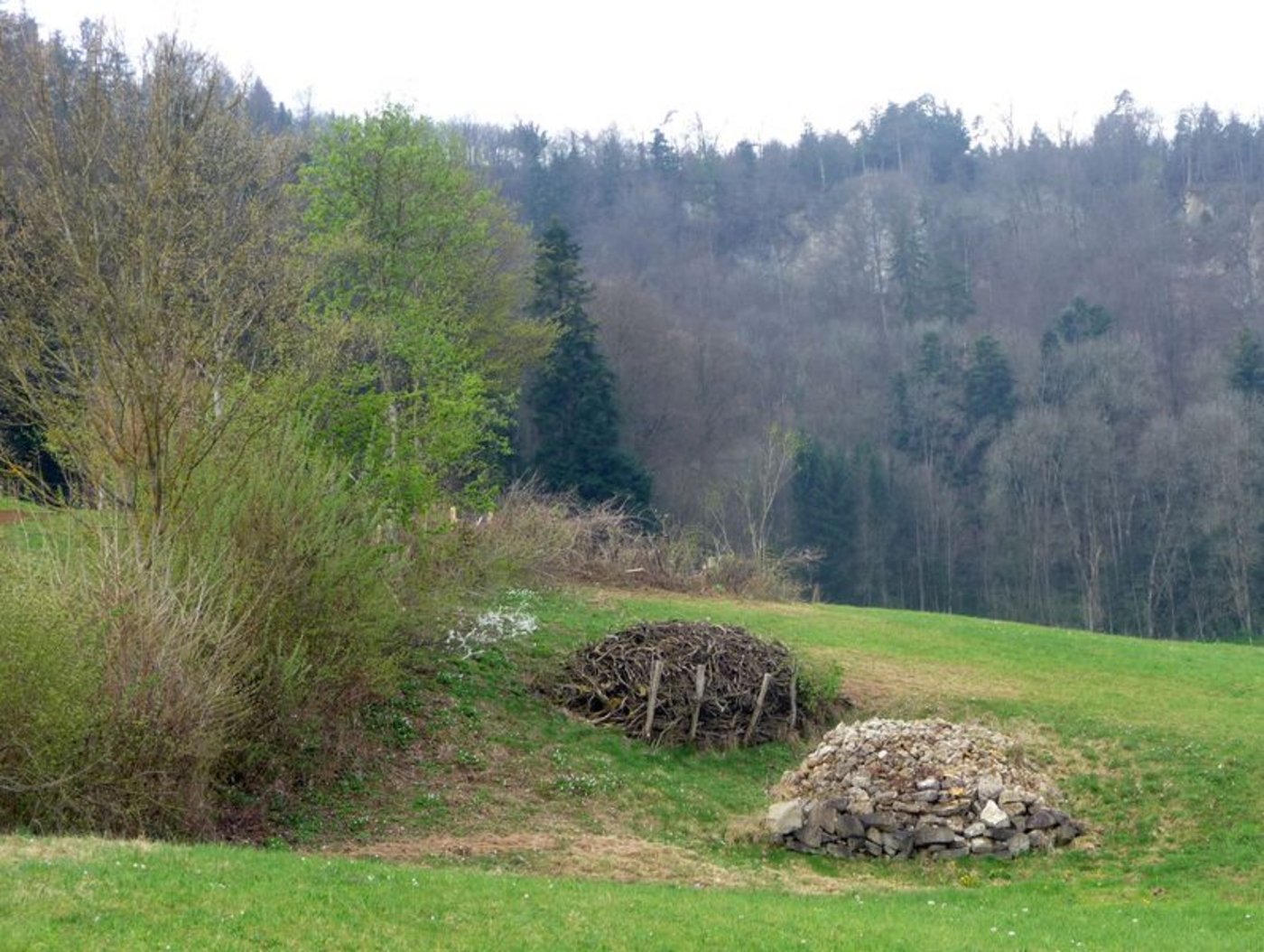 Hecken lassen sich durch Stein- und Asthaufen aufwerten. (Bild biodivers.ch)