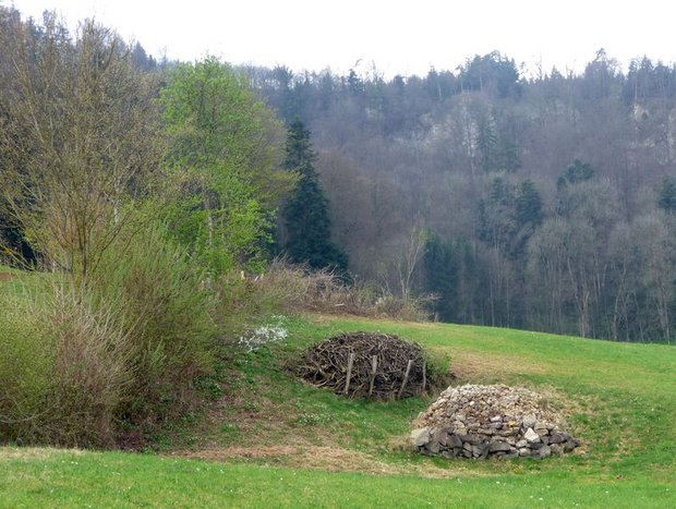 Biodiversität zum Znüni: Planung und Aufbau von Hecken Hecken lassen sich durch Stein- und Asthaufen aufwerten. (Bild biodivers.ch)