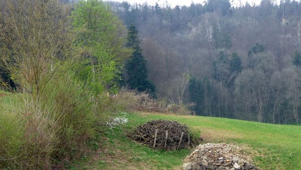 Hecken lassen sich durch Stein- und Asthaufen aufwerten. (Bild biodivers.ch)