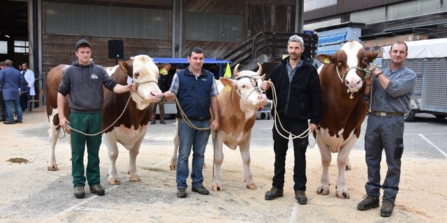 Am Stierenmarkt in Langnau standen am Schluss tolle Stiere auf dem Podest.