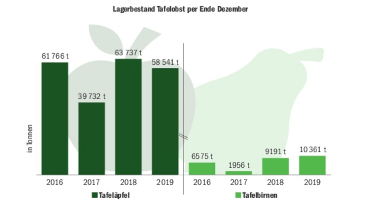 Der Tafeläpfel-Lagerbestand lag Ende November 2019 bei rund 58?000 Tonnen. Der Verkauf entspricht dem des Vorjahres. Die Apfel- wie die Birnenlager sind marktgerecht.(Grafik BauZ)