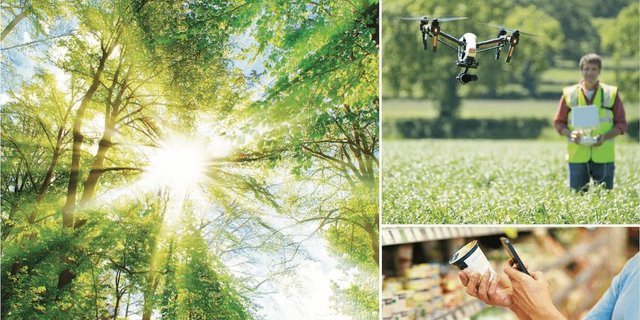 Das NFP 73 untersucht, welche Konsum- und Produktionsmuster sowie politischen Rahmenbedingungen die Schweizer Wirtschaft nachhaltiger machen können. (Bild Zwischenbericht NFP 73)