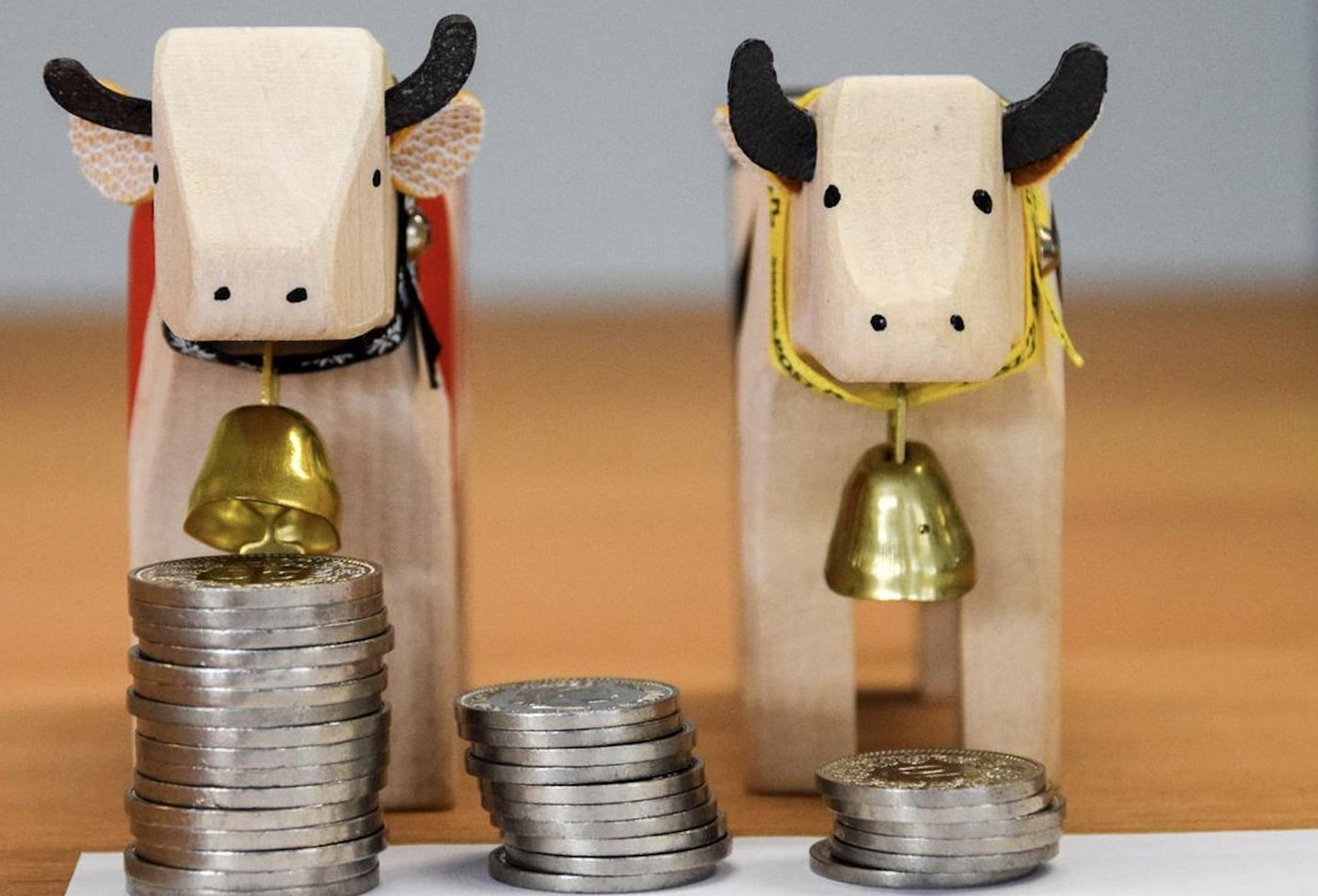 Die Beratungen zeigten, dass die Auswirkungen von grossen Investitionen auf die Altersvorsorge vielen Betriebsleiterinnen und Betriebsleiter nicht bewusst ist. (Bild hja)