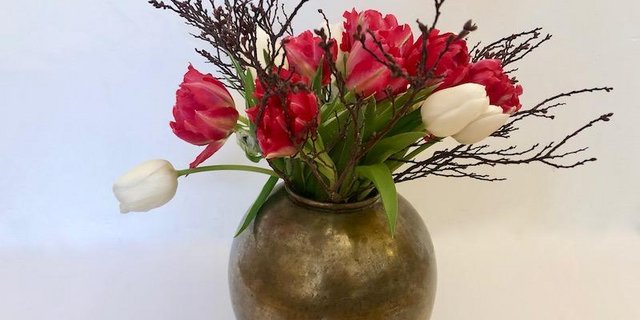 Mit wenig Aufwand bereiten Schnittblumen länger Freude. (Bilder Esther Thalmann)