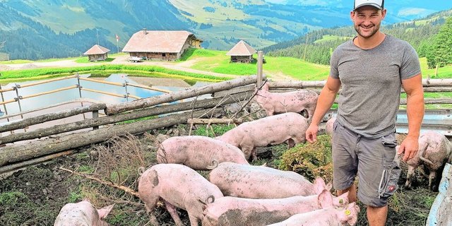 Stefan Eberli mit den Alpschweinen auf der Jänzimatt. Weil er auch Pflanzenkohle zur Geruchsreduktion einstreut, sind die Tiere teils schwarz gefärbt. 