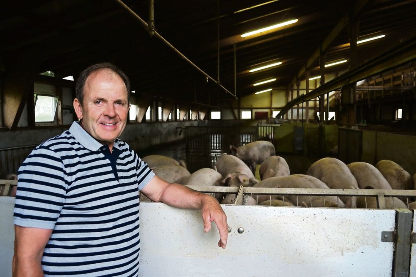 Suisseporcs-Präsident ad interim Andreas Johner tritt nach 10 Monaten ab, nachdem wieder Ruhe auf der   Geschäftsstelle eingekehrt ist. Eine Zukunft habe das Schweizer Schweinefleisch nur mit Qualität. (Bild: jsc)