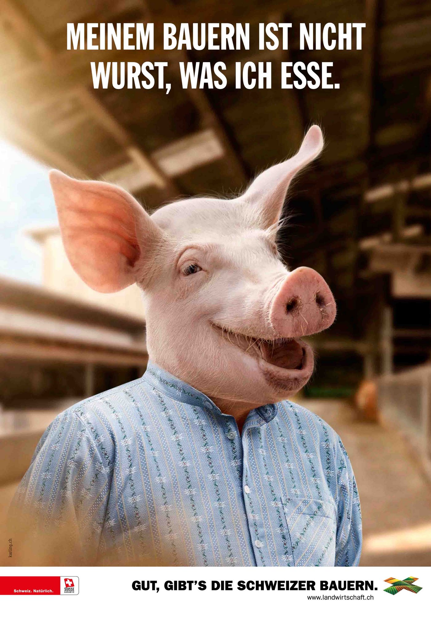 neuen Plakate. Neben dem Schwein ist auch 