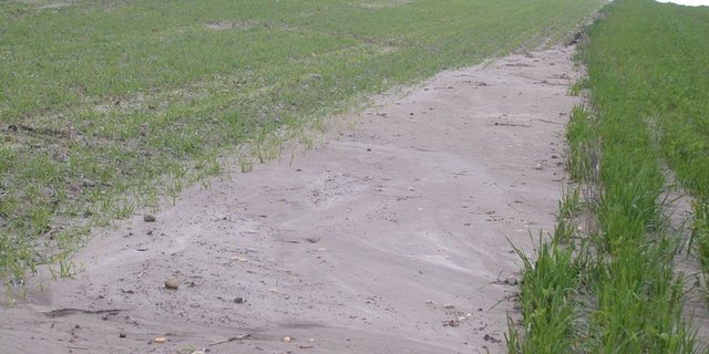 Einer der im Jahr 2020 kontrollierten Bereiche ist der Erosionsschutz. (Bild BauZ)